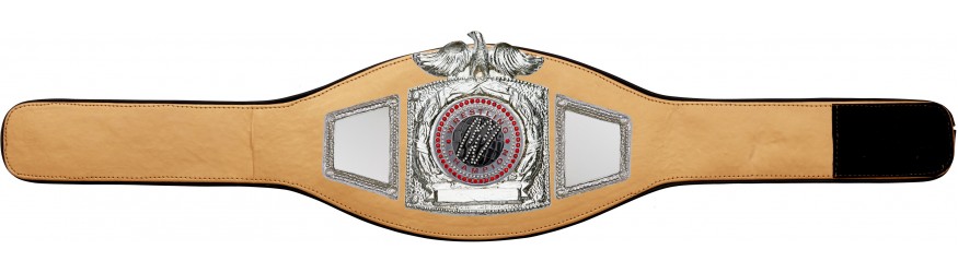 PROEAGLE WRESTLING CHAMPIONSHIP BELT - PROEAGLE/S/WRESTGEMS - 6+ COLOURS